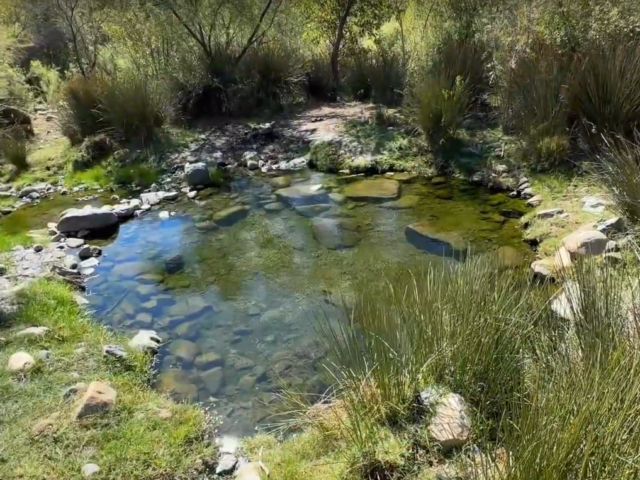 Valle de Guadalupe’s Best Hot Springs Revealed!