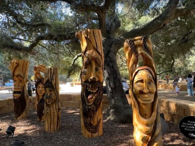Incredible Pumpkin & Carving Creations at Descanso Gardens