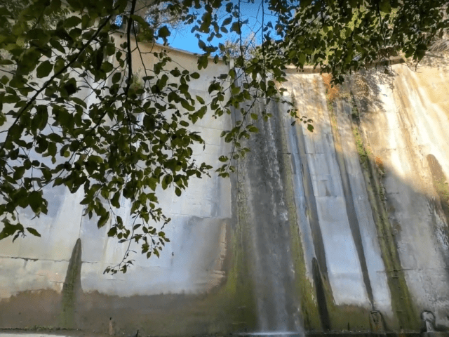 8 Miles of PURE JOY: Hiking the Gabrielino Trail to Brown Mountain Dam Falls!