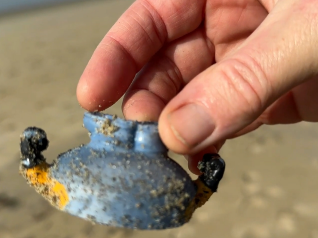 I Found FUN Treasures Beachcombing in Playa Pacifica Ensenada Mexico