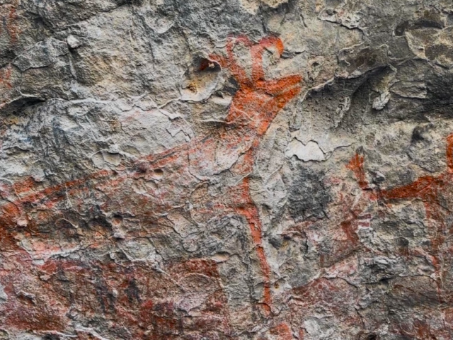 [Ep. 6 of 8] BAJA ROADTRIP: We saw ancient CAVE PAINTINGS and TOUCHED GREY WHALES!