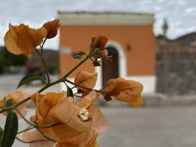 [Ep. 3 of 8] BAJA ROADTRIP: Baja’s Colonial Towns, The Ghosts of Mexico’s Gold Rush