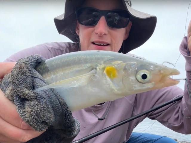 Beach Camping in Baja California: Fishing, exploring and more!