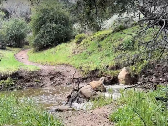 Unbelievable: Southern California’s Creeks Are All Flowing in 2024!