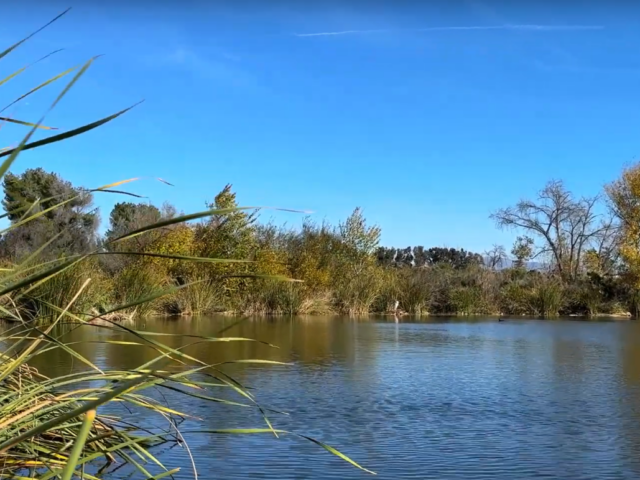 Sepulveda Basin Wildlife Reserve [San Fernando Valley]