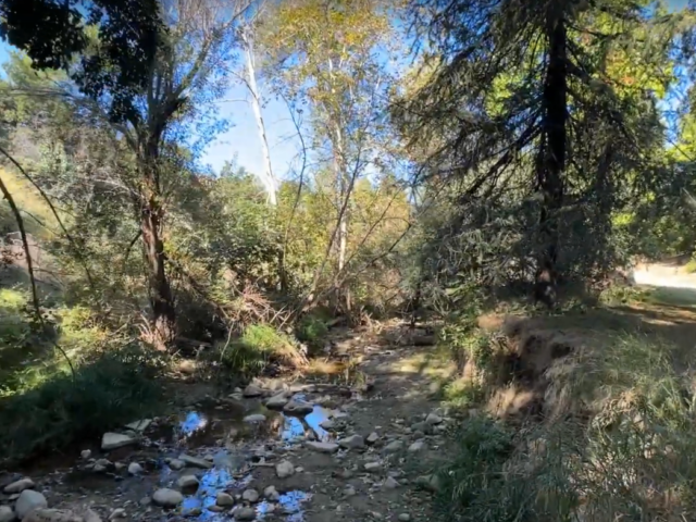 Hiking Limekiln Canyon Trail, The Best Urban Trail In Porter Ranch?