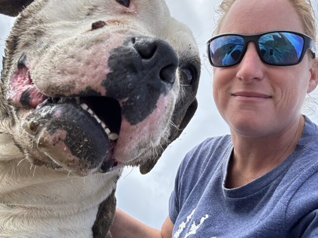 Beach Camping With An Adorable Dog In Baja California: Fishing, exploring and more!