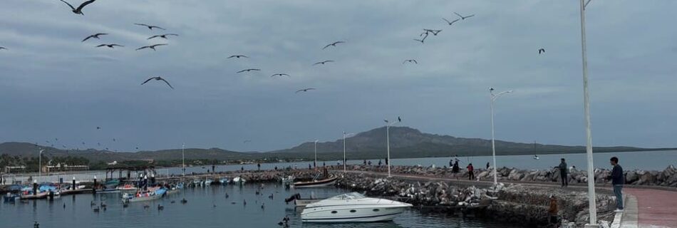 A photo of the port at Loreto, Baja California Sur