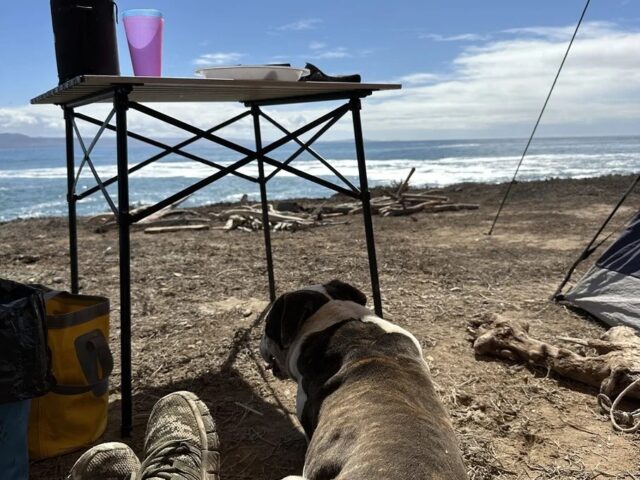 New Feature: Why Midlife Camping Is the Perfect Time to Start!