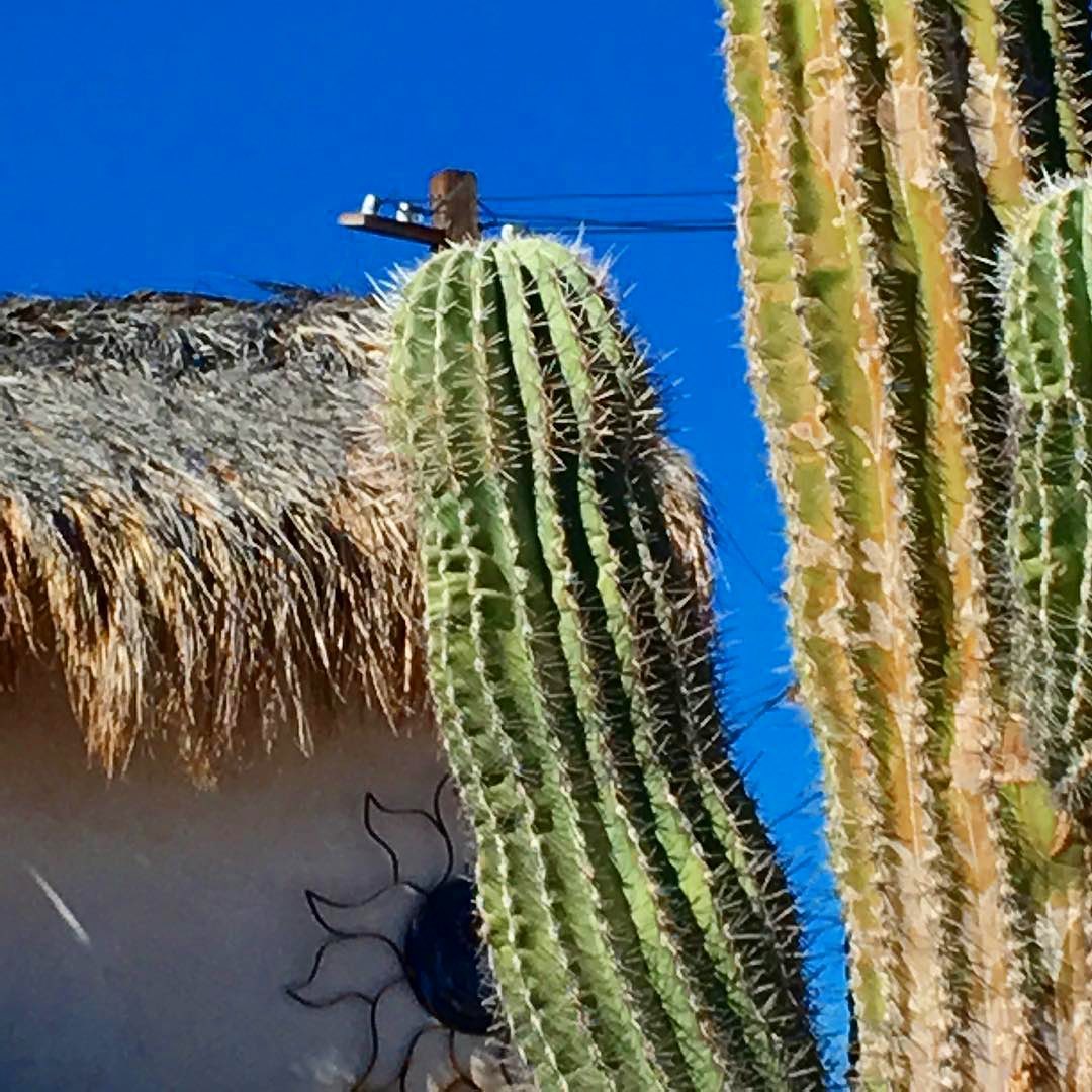 Photo from Miles and Hikes gallery