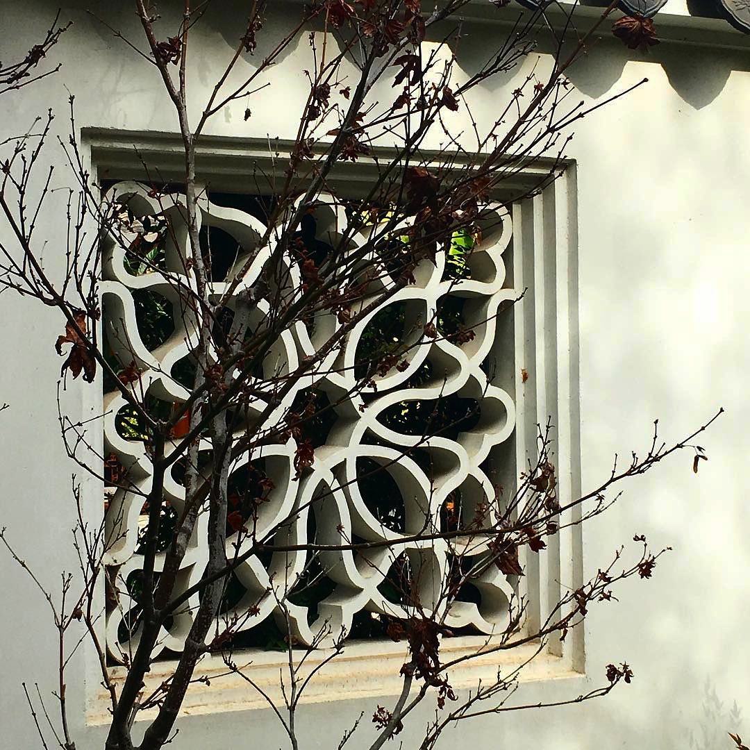 Photo from Miles and Hikes gallery