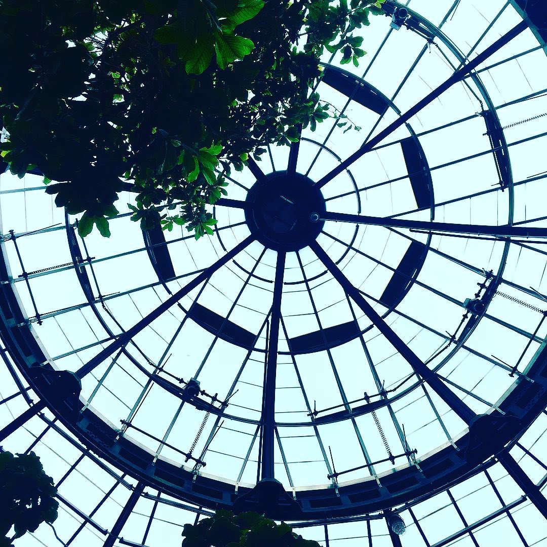 Photo from Miles and Hikes gallery