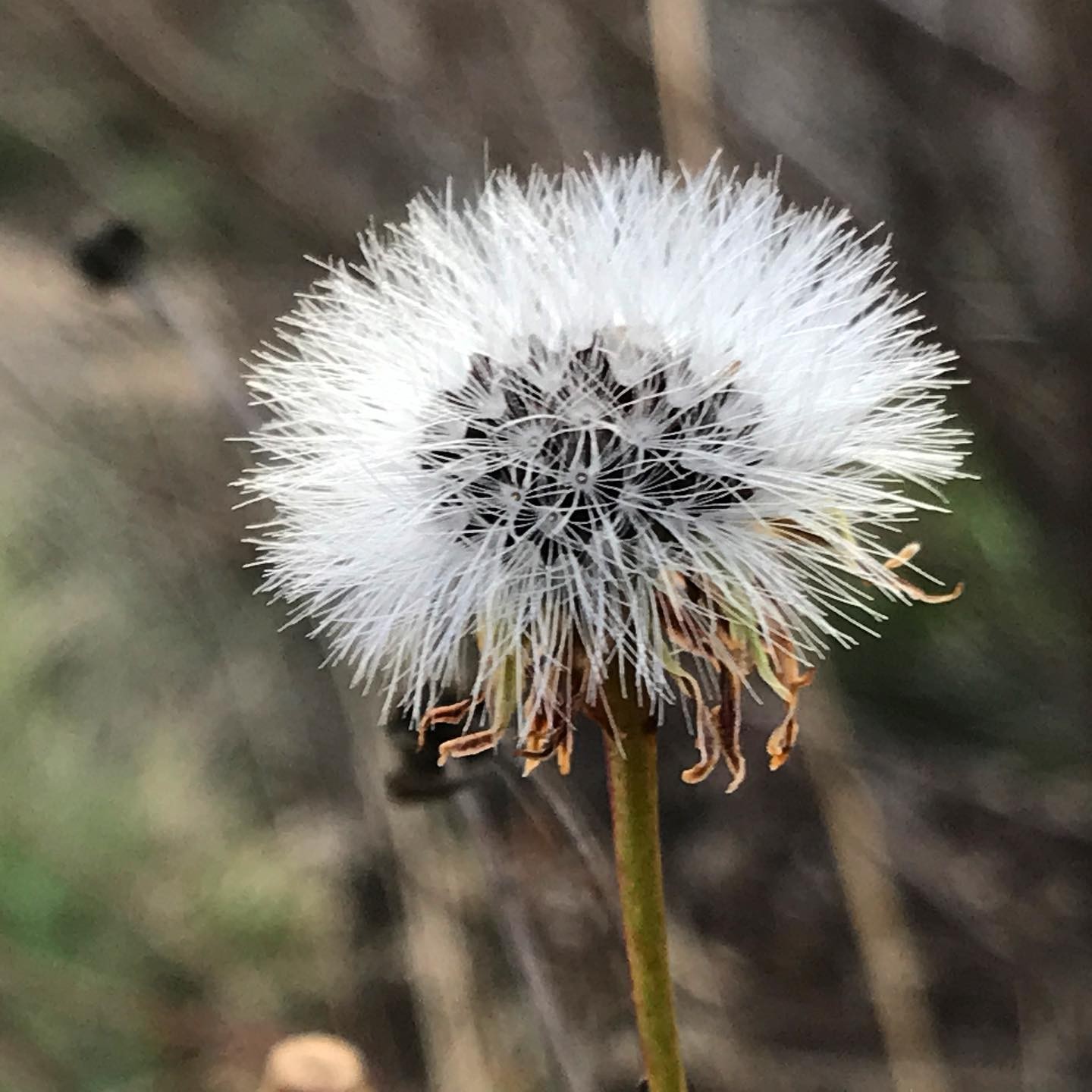 Photo from Miles and Hikes gallery