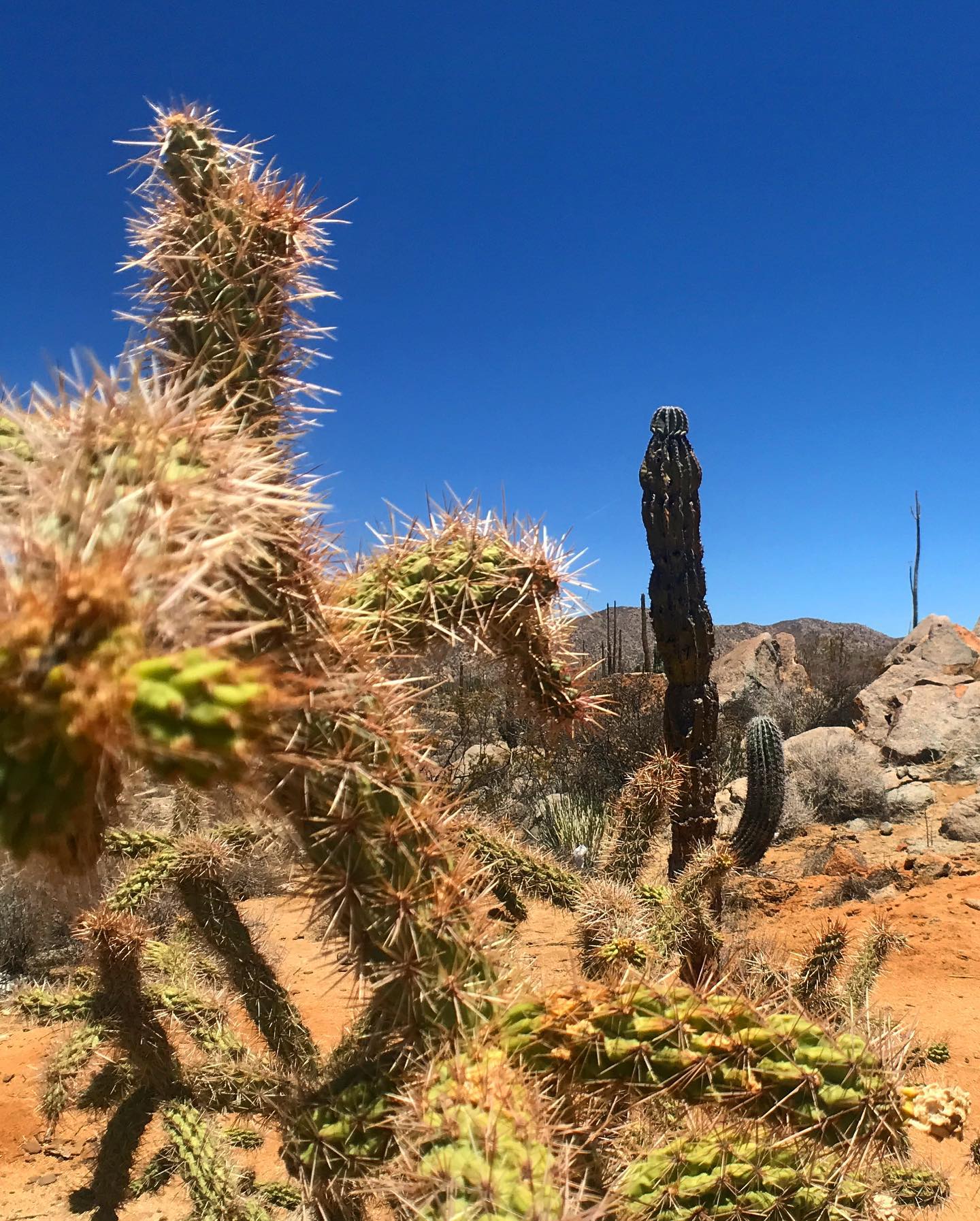 Photo from Miles and Hikes gallery