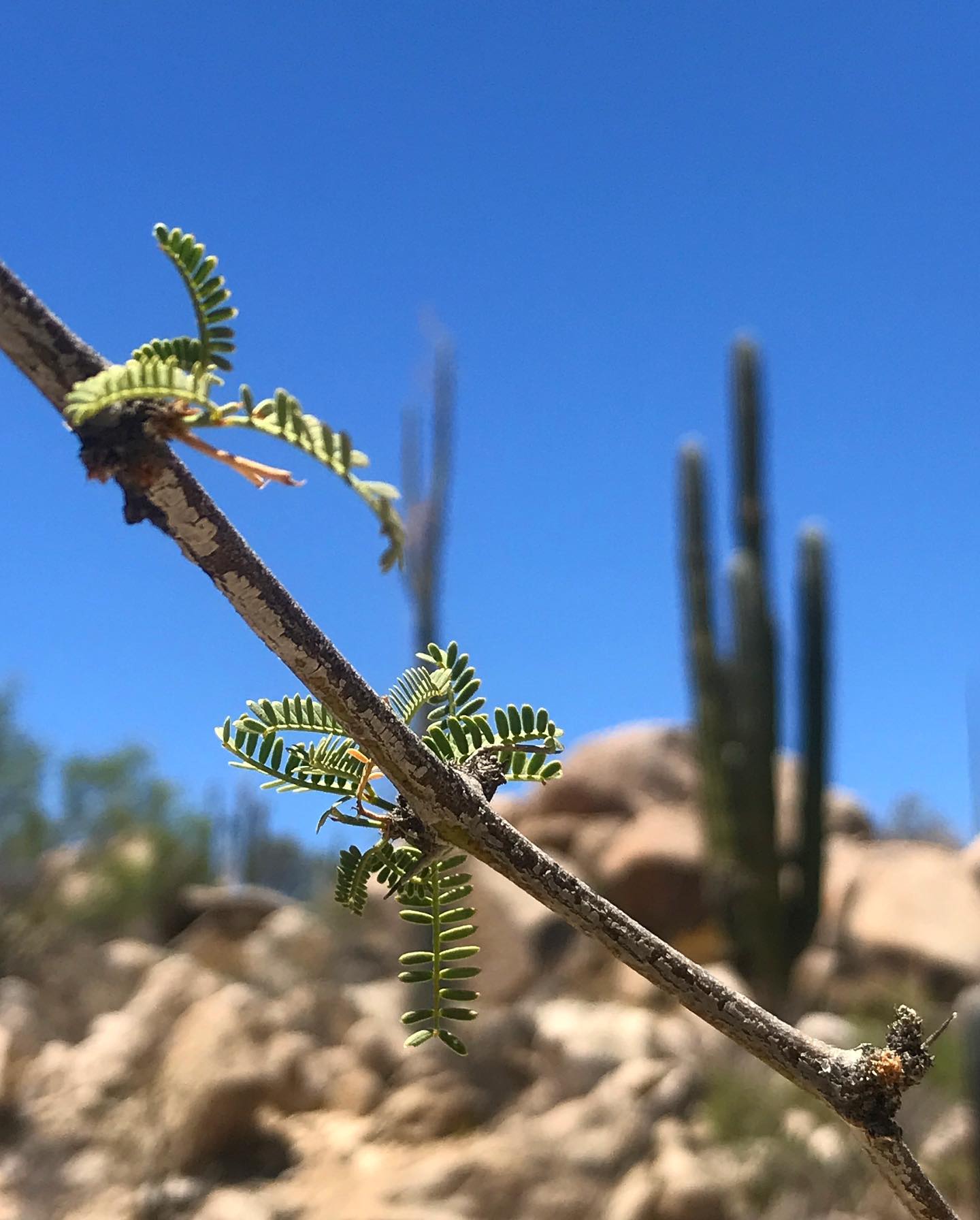 Photo from Miles and Hikes gallery