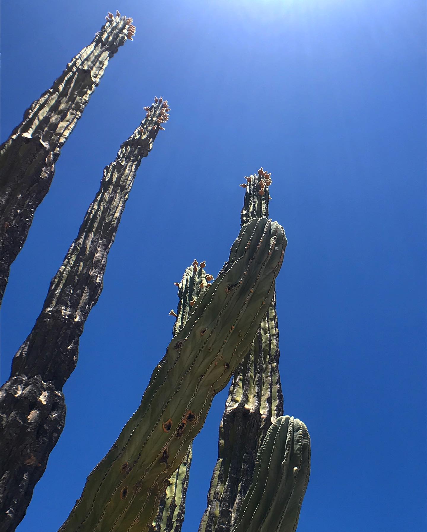 Photo from Miles and Hikes gallery